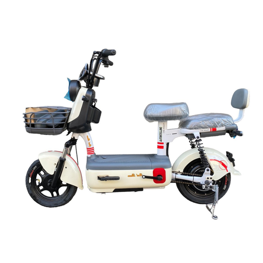 Mini Pro 電動輔助自行車