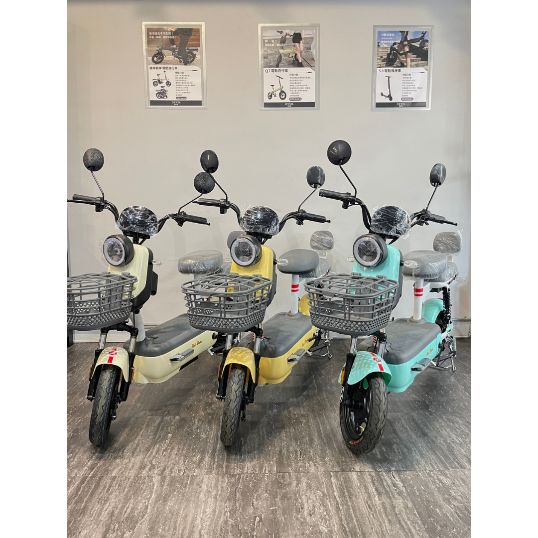 Mini Pro 電動輔助自行車