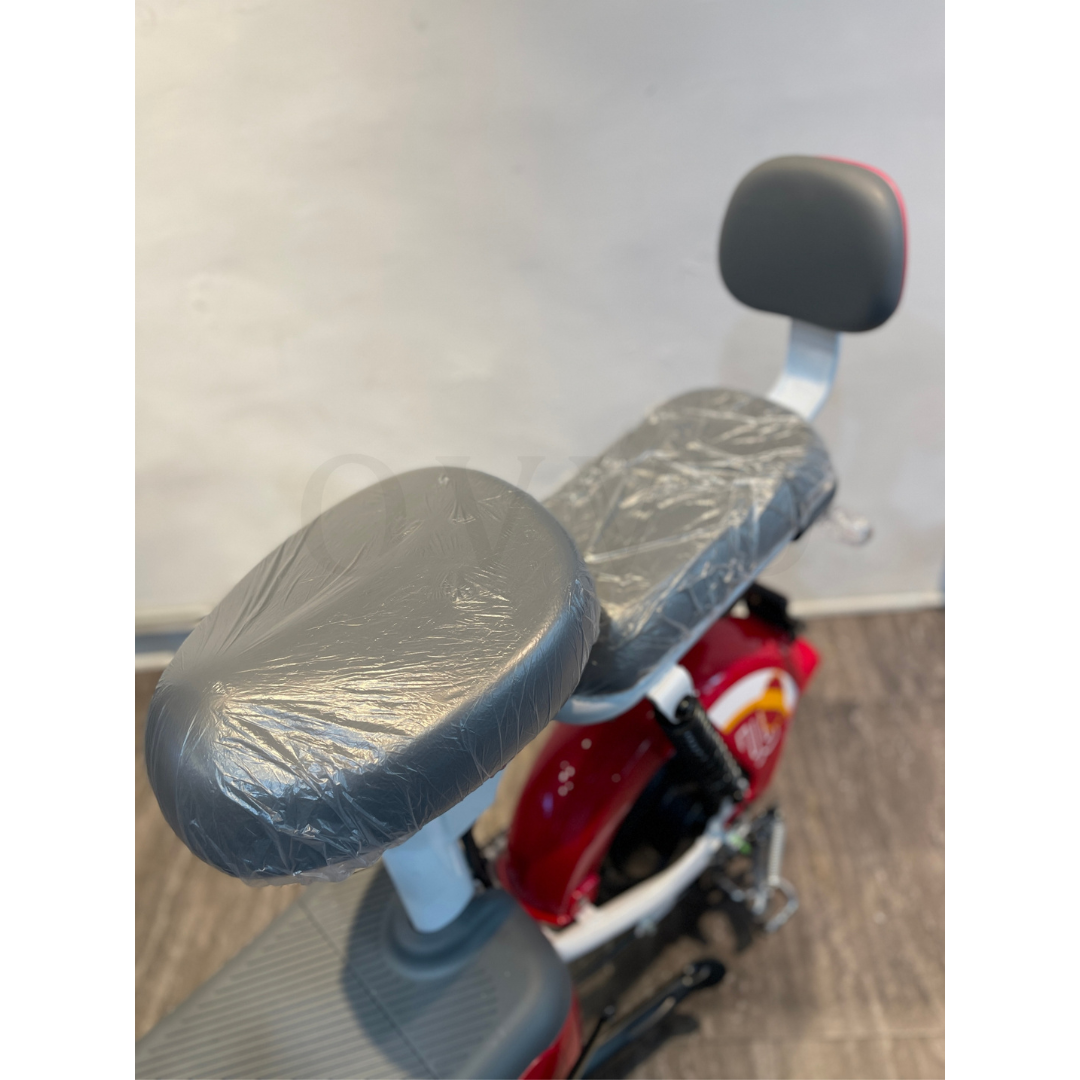 Mini Pro 電動輔助自行車