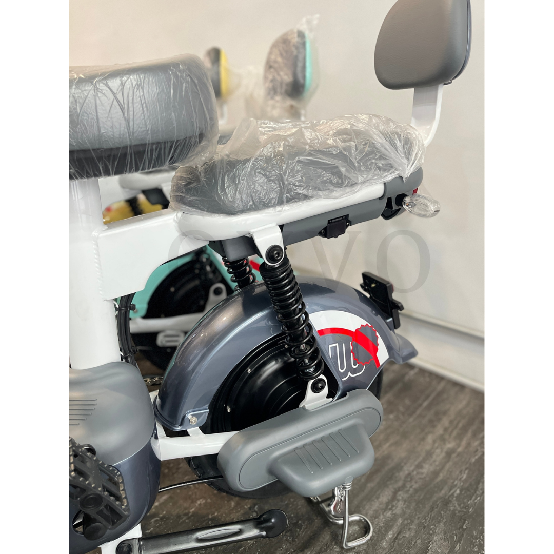 Mini Pro 電動輔助自行車