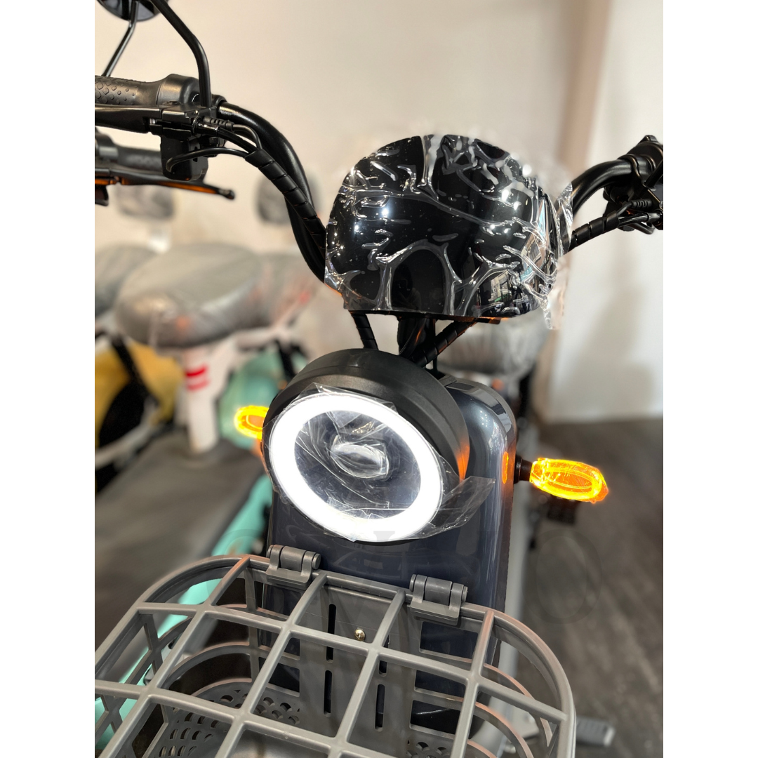 Mini Pro 電動輔助自行車