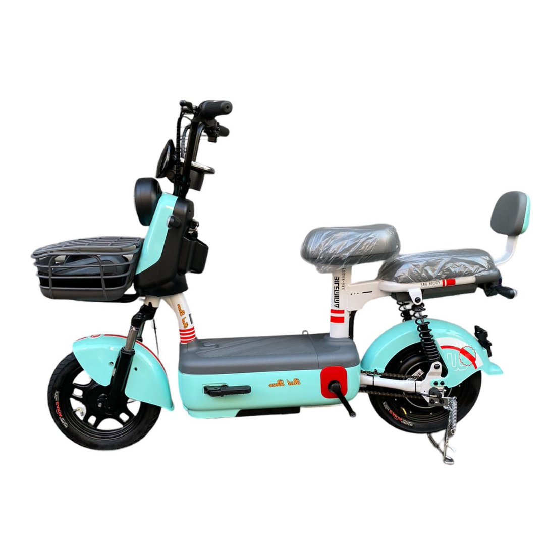 Mini Pro 電動輔助自行車